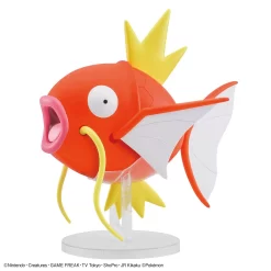POKEMON COLLECTION BIG 01 MAGICARPE (MAGIKARP) -Meilleurs Jouets bans61338 2
