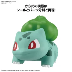 POKEMON POKE-PLA QUICK! 13 BULBIZARRE (BULBASAUR) 8 POKEMON POKE-PLA QUICK! 13 BULBIZARRE (BULBASAUR) -Meilleurs Jouets bans65095 3